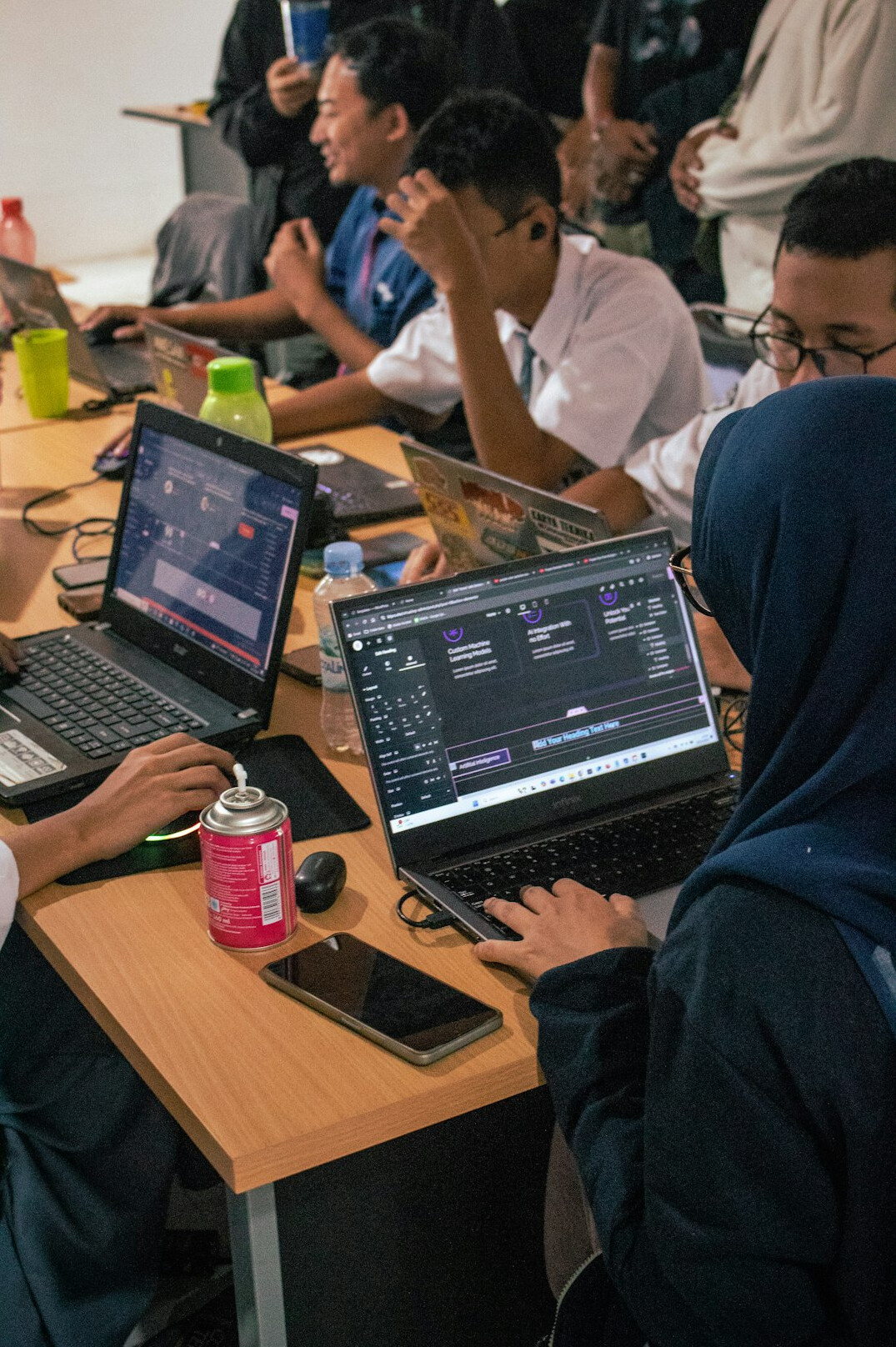 young croatian students in programming class